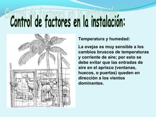 Temperatura y humedad:
La ovejas es muy sensible a los
cambios bruscos de temperaturas
y corriente de aire; por esto se
debe evitar que las entradas de
aire en el aprisco (ventanas,
huecos, o puertas) queden en
dirección a los vientos
dominantes.
 