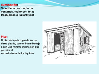 Iluminación:
Se obtiene por medio de
ventanas, techo con tejas
traslucidas o luz artificial .
Piso:
El piso del aprisco puede ser de
tierra pisada, con un buen drenaje
o con una mínima inclinación que
permita el
escurrimiento de los líquidos.
 
