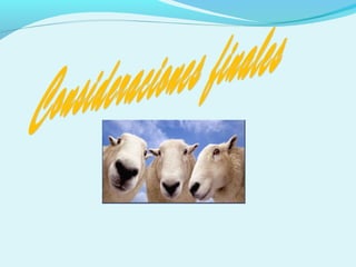 Produccion de ovinos1