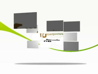 Produccion de ovinos1