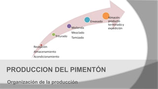 Organización de la producción
PRODUCCION DEL PIMENTÓN
 