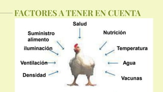 FACTORES A TENER EN CUENTA
 