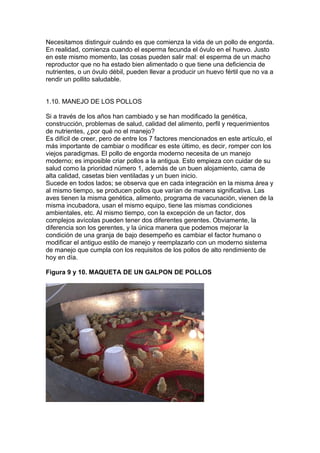 Necesitamos distinguir cuándo es que comienza la vida de un pollo de engorda.
En realidad, comienza cuando el esperma fecunda el óvulo en el huevo. Justo
en este mismo momento, las cosas pueden salir mal: el esperma de un macho
reproductor que no ha estado bien alimentado o que tiene una deficiencia de
nutrientes, o un óvulo débil, pueden llevar a producir un huevo fértil que no va a
rendir un pollito saludable.
1.10. MANEJO DE LOS POLLOS
Si a través de los años han cambiado y se han modificado la genética,
construcción, problemas de salud, calidad del alimento, perfil y requerimientos
de nutrientes, ¿por qué no el manejo?
Es difícil de creer, pero de entre los 7 factores mencionados en este artículo, el
más importante de cambiar o modificar es este último, es decir, romper con los
viejos paradigmas. El pollo de engorda moderno necesita de un manejo
moderno; es imposible criar pollos a la antigua. Esto empieza con cuidar de su
salud como la prioridad número 1, además de un buen alojamiento, cama de
alta calidad, casetas bien ventiladas y un buen inicio.
Sucede en todos lados; se observa que en cada integración en la misma área y
al mismo tiempo, se producen pollos que varían de manera significativa. Las
aves tienen la misma genética, alimento, programa de vacunación, vienen de la
misma incubadora, usan el mismo equipo, tiene las mismas condiciones
ambientales, etc. Al mismo tiempo, con la excepción de un factor, dos
complejos avícolas pueden tener dos diferentes gerentes. Obviamente, la
diferencia son los gerentes, y la única manera que podemos mejorar la
condición de una granja de bajo desempeño es cambiar el factor humano o
modificar el antiguo estilo de manejo y reemplazarlo con un moderno sistema
de manejo que cumpla con los requisitos de los pollos de alto rendimiento de
hoy en día.
Figura 9 y 10. MAQUETA DE UN GALPON DE POLLOS

 