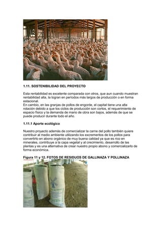 1.11. SOSTENIBILIDAD DEL PROYECTO
Esta rentabilidad es excelente comparada con otros, que aun cuando muestran
rentabilidad alta, la logran en períodos más largos de producción o en forma
estacional.
En cambio, en las granjas de pollos de engorde, el capital tiene una alta
rotación debido a que los ciclos de producción son cortos, el requerimiento de
espacio físico y la demanda de mano de obra son bajos, además de que se
puede producir durante todo el año.
1.11.1 Aporte ecológico
Nuestro proyecto además de comercializar la carne del pollo también quiere
contribuir al medio ambiente utilizando los excrementos de los pollos para
convertirlo en abono orgánico de muy buena calidad ya que es rico en
minerales, contribuye a la capa vegetal y al crecimiento, desarrollo de las
plantas y es una alternativa de crear nuestro propio abono y comercializarlo de
forma económica.
Figura 11 y 12. FOTOS DE RESIDUOS DE GALLINAZA Y POLLINAZA

 