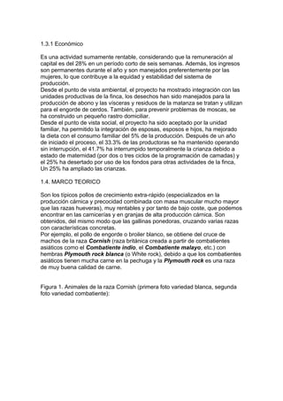 1.3.1 Económico
Es una actividad sumamente rentable, considerando que la remuneración al
capital es del 28% en un período corto de seis semanas. Además, los ingresos
son permanentes durante el año y son manejados preferentemente por las
mujeres, lo que contribuye a la equidad y estabilidad del sistema de
producción.
Desde el punto de vista ambiental, el proyecto ha mostrado integración con las
unidades productivas de la finca, los desechos han sido manejados para la
producción de abono y las vísceras y residuos de la matanza se tratan y utilizan
para el engorde de cerdos. También, para prevenir problemas de moscas, se
ha construido un pequeño rastro domiciliar.
Desde el punto de vista social, el proyecto ha sido aceptado por la unidad
familiar, ha permitido la integración de esposas, esposos e hijos, ha mejorado
la dieta con el consumo familiar del 5% de la producción. Después de un año
de iniciado el proceso, el 33.3% de las productoras se ha mantenido operando
sin interrupción, el 41.7% ha interrumpido temporalmente la crianza debido a
estado de maternidad (por dos o tres ciclos de la programación de camadas) y
el 25% ha desertado por uso de los fondos para otras actividades de la finca,
Un 25% ha ampliado las crianzas.
1.4. MARCO TEORICO
Son los típicos pollos de crecimiento extra-rápido (especializados en la
producción cárnica y precocidad combinada con masa muscular mucho mayor
que las razas hueveras), muy rentables y por tanto de bajo coste, que podemos
encontrar en las carnicerías y en granjas de alta producción cárnica. Son
obtenidos, del mismo modo que las gallinas ponedoras, cruzando varias razas
con características concretas.
Por ejemplo, el pollo de engorde o broiler blanco, se obtiene del cruce de
machos de la raza Cornish (raza británica creada a partir de combatientes
asiáticos como el Combatiente indio, el Combatiente malayo, etc.) con
hembras Plymouth rock blanca (o White rock), debido a que los combatientes
asiáticos tienen mucha carne en la pechuga y la Plymouth rock es una raza
de muy buena calidad de carne.
Figura 1. Animales de la raza Cornish (primera foto variedad blanca, segunda
foto variedad combatiente):

 