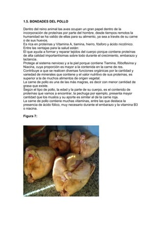 1.5. BONDADES DEL POLLO
Dentro del reino animal las aves ocupan un gran papel dentro de la
incorporación de proteínas por parte del hombre, desde tiempos remotos la
humanidad se ha valido de ellas para su alimento, ya sea a través de su carne
o de sus huevos.
Es rica en proteínas y Vitamina A, tiamina, hierro, fósforo y ácido nicotínico.
Entre las ventajas para la salud están:
El que ayuda a formar y reparar tejidos del cuerpo porque contiene proteínas
de alta calidad importantísimas sobre todo durante el crecimiento, embarazo y
lactancia.
Protege al sistema nervioso y a la piel porque contiene Tiamina, Riboflavina y
Niacina, cuya proporción es mayor a la contenida en la carne de res.
Contribuye a que se realicen diversas funciones orgánicas por la cantidad y
variedad de minerales que contiene y el valor nutritivo de sus proteínas, es
superior a la de muchos alimentos de origen vegetal.
La carne de pollo es una de las más magras, es decir con menor cantidad de
grasa que existe.
Según el tipo de pollo, la edad y la parte de su cuerpo, es el contenido de
proteínas que vamos a encontrar, la pechuga por ejemplo, presenta mayor
cantidad que los muslos y su aporte es similar al de la carne roja.
La carne de pollo contiene muchas vitaminas, entre las que destaca la
presencia de ácido fólico, muy necesario durante el embarazo y la vitamina B3
o niacina.
Figura 7:

 