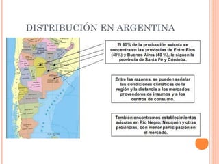 DISTRIBUCIÓN EN ARGENTINA
 
