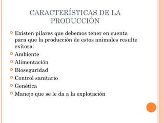 CARACTERÍSTICAS DE LA
PRODUCCIÓN
 Existen pilares que debemos tener en cuenta
para que la producción de estos animales resulte
exitosa:
 Ambiente
 Alimentación
 Bioseguridad
 Control sanitario
 Genética
 Manejo que se le da a la explotación
 