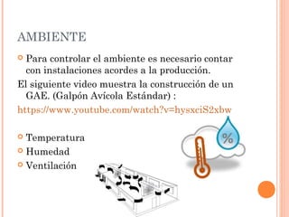 AMBIENTE
 Para controlar el ambiente es necesario contar
con instalaciones acordes a la producción.
El siguiente video muestra la construcción de un
GAE. (Galpón Avícola Estándar) :
https://www.youtube.com/watch?v=hysxciS2xbw
 Temperatura
 Humedad
 Ventilación
 
