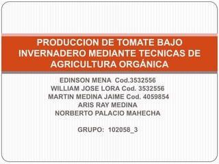 PRODUCCION DE TOMATE BAJO
INVERNADERO MEDIANTE TECNICAS DE
      AGRICULTURA ORGÁNICA
        EDINSON MENA Cod.3532556
      WILLIAM JOSE LORA Cod. 3532556
     MARTIN MEDINA JAIME Cod. 4059854
             ARIS RAY MEDINA
       NORBERTO PALACIO MAHECHA

            GRUPO: 102058_3
 