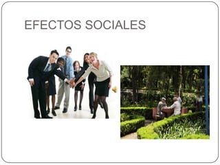 EFECTOS SOCIALES
 