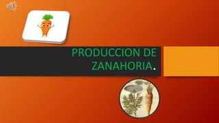 PRODUCCION DE
ZANAHORIA.
 