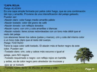 Produccion equina | PPTX