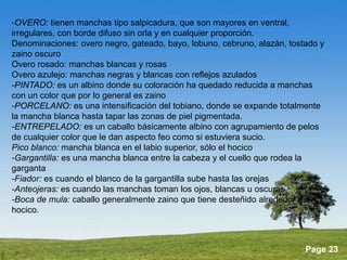 Produccion equina | PPTX