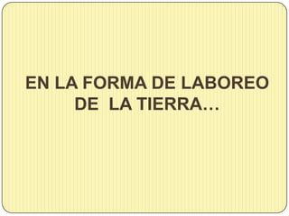 EN LA FORMA DE LABOREO
DE LA TIERRA…
