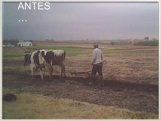 ANTES
…