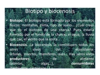 Biotipo y biocenosisBiotopo. El biotopo está formado por los elementos físicos: montañas, clima, tipo de suelo… ¿Cuál crees que es el biotopo de una charca? Pues estaría formado por el fondo de la charca, el agua, la lluvia que cae, el viento que la azota… Biocenosis. La biocenosis la constituyen todos los seres vivos del ecosistema: árboles, insectos, mamíferos, aves… Hay seres vivos productores de alimento (plantas, algas…), consumidores (herbívoros, carnívoros…) 