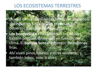 LOS ECOSISTEMAS TERRESTRESDentro de los ecosistemas terrestres podemos distinguir los bosques, las praderas, los desiertos o los ecosistemas polares. Los bosques. En ellos abundan los árboles. Existen bosques diferentes en función del clima. El bosque boreal es propio de regiones frías. Ahí viven pinos, abetos y otras coníferas; y también lobos, osos o alces.