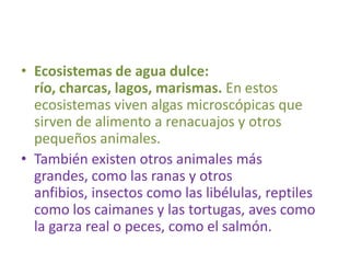 Ecosistemas de agua dulce: río, charcas, lagos, marismas. En estos ecosistemas viven algas microscópicas que sirven de alimento a renacuajos y otros pequeños animales.También existen otros animales más grandes, como las ranas y otros anfibios, insectos como las libélulas, reptiles como los caimanes y las tortugas, aves como la garza real o peces, como el salmón. 
