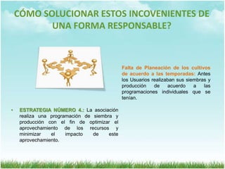 CÓMO SOLUCIONAR ESTOS INCOVENIENTES DE UNA FORMA RESPONSABLE?Falta de Planeación de los cultivos de acuerdo a las temporadas: Antes los Usuarios realizaban sus siembras y producción de acuerdo a las programaciones individuales que se tenían.ESTRATEGIA NÚMERO 4.: La asociación realiza una programación de siembra y producción con el fin de optimizar el aprovechamiento de los recursos y minimizar el impacto de este aprovechamiento.FUENTES DE INFORMACIÓNPrograma de producción más limpia de la Subdirección de Control y Calidad Ambiental de CORPORINOQUIA.GRACIAS 