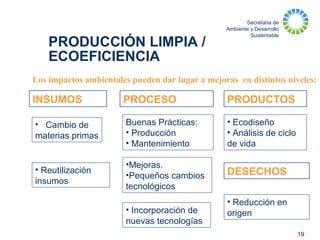 Secretaria de
Ambiente y Desarrollo
Sustentable
19
PRODUCCIÓN LIMPIA /
ECOEFICIENCIA
PRODUCTOSPROCESOINSUMOS
Buenas Prácticas:
• Producción
• Mantenimiento
•Mejoras.
•Pequeños cambios
tecnológicos
• Cambio de
materias primas
• Ecodiseño
• Análisis de ciclo
de vida
• Reutilización
insumos
• Incorporación de
nuevas tecnologías
DESECHOS
• Reducción en
origen
Los impactos ambientales pueden dar lugar a mejoras en distintos niveles:
 