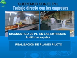 DIAGNOSTICO DE PL EN LAS EMPRESAS
Auditorías rápidas
REALIZACIÓN DE PLANES PILOTO
QUEREMOS CON EL P+LQUEREMOS CON EL P+L
 