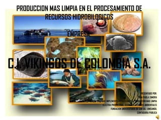 PRODUCCION MAS LIMPIA EN EL PROCESAMIENTO DE RECURSOS HIDROBILOGICOS EMPRESA:C.I. VIKINGOS DE COLOMBIA S.A. PRESENTADO POR:  GINA PAOLA ZAMORA TEMA:EMPRESA QUE IMPLEMENTO ESTRATEGIAS DE PRODUCCION MAS LIMPIA   ELECTIVA PROFESIONAL: ECONOMIA Y COSTOS AMBIENTALES   FUNDACION UNIVERSITARIA DE SAN GIL- UNISANGIL  CONTADURIA PUBLICA 