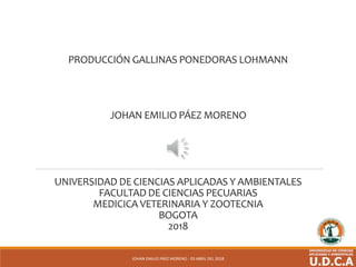 PRODUCCIÓN GALLINAS PONEDORAS LOHMANN
JOHAN EMILIO PÁEZ MORENO
UNIVERSIDAD DE CIENCIAS APLICADAS Y AMBIENTALES
FACULTAD DE CIENCIAS PECUARIAS
MEDICICA VETERINARIA Y ZOOTECNIA
BOGOTA
2018
JOHAN EMILIO PÁEZ MORENO - 03 ABRIL DEL 2018
 