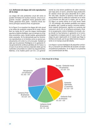 Producción ovina			                               Manuales FIA de APOYO A LA FORMACIÓN DE RECURSOS HUMANOS PARA LA INNOVACIÓN AGRARIA




3.2. Definición de etapas del ciclo reproductivo              mente las crías tienen problemas de sobre vivencia,
de la oveja                                                   (por bajo peso al nacer), presentan baja producción
                                                              de calostro inicial (por poco desarrollo de la ubre).
Las etapas del ciclo productivo anual del ovino se            Por otro lado, durante la lactancia inicial existe un
pueden formalizar de muchas maneras. Una es la si-            desequilibrio entre la salida de nutrientes en la leche
guiente: encaste - gestación inicial; gestación inter-        y el consumo de ellos por la madre, por lo que la
media; gestación final; parto - lactancia inicial; lac-       CC llega a su punto menor en el ciclo anual, hasta
tancia principal; lactancia final; recuperación.              1,5. Sin embargo, ello también posibilita una mejora
                                                              de apetito, que, cuando se asocia a recursos alimen-
En la Figura 5 se muestran las etapas del ciclo anual         ticios mejores (primavera), significa un aumento del
y las metas de condición corporal de la oveja. Ahora          consumo y de la CC en la lactancia principal y final.
bien las metas de CC para las etapas mencionadas              En la recuperación, entre el destete y el encaste, eta-
apuntan al óptimo biológico, que no siempre es el óp-         pa donde no hay lactancia ni gestación en el ovino,
timo económico, pero, siendo realista, generalmente           el organismo se prepara para el nuevo ciclo. Es una
están asociados. Se ha demostrado que los fenóme-             etapa de gran repercusión en el estado que llega la
nos reproductivos en la hembra ovina se asocian po-           hembra al encaste, por lo que debe tenerse muy pre-
sitivamente a CC entre 3 y 3,5 al encaste. También se         sente en el manejo anual del rebaño.
sabe que los procesos fisiológicos en la gestación fi-
nal generalmente conllevan pérdidas de CC hasta 2 a           Las etapas o sucesos biológicos de pequeños rumian-
2,5 por el uso de las reservas corporales dado que los        tes y su duración son diferentes de acuerdo a la espe-
nutrientes consumidos no cubren los requerimientos.           cie/potencial productivo. En la Figura 5 se presenta
Además, si las madres paren con CC< 2,5 general-              una caracterización de ellas.




                                       Figura 5. Ciclo Anual de la Oveja



                                                                           Encaste - Gestación Inicial
                                                                               (10 semanas)
                                                                                  CC 3,0 - 3,5
                     Recuperación
                   (14 semanas)
                  CC 3,0 - 3,5




                                                                                            Gestación
                                                                                            Intermedia
                                                                                            (7 semanas)
                                                                                            CC 2,5 - 3,0

             lactancia Final
                 (8 semanas)
                  CC 2,0 - 2,5                                                    Gestación Final
                                                                               (5 semanas)
                                                                            CC 2,5 - 3,0

                                              lactancia Inicial
                                              (8 semanas)
                                              CC 1,5 - 2,0




24
 