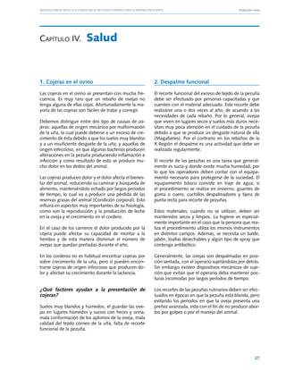 Manuales FIA de APOYO A LA FORMACIÓN DE RECURSOS HUMANOS PARA LA INNOVACIÓN AGRARIA			                     Producción ovina




Capítulo IV.	 Salud




1. Cojeras en el ovino                                          2. Despalme funcional

Las cojeras en el ovino se presentan con mucha fre-             El recorte funcional del exceso de tejido de la pezuña
cuencia. Es muy raro que un rebaño de ovejas no                 debe ser efectuado por personas capacitadas y que
tenga alguna de ellas cojas. Afortunadamente la ma-             cuenten con el material adecuado. Este recorte debe
yoría de las cojeras son fáciles de tratar y corregir.          realizarse una o dos veces al año, de acuerdo a las
                                                                necesidades de cada rebaño. Por lo general, ovejas
Debemos distinguir entre dos tipo de causas de co-              que viven en lugares secos y suelos más duros nece-
jeras: aquellas de origen mecánico por malformación             sitan muy poca atención en el cuidado de la pezuña
de la uña, la cual puede deberse a un exceso de cre-            debido a que se produce un desgaste natural de ella
cimiento de ésta debido a que los suelos muy blandos            (Magallanes). Por el contrario en los rebaños de la
y a un insuficiente desgaste de la uña; y aquellas de           X Región el despalme es una actividad que debe ser
origen infeccioso, en que algunas bacterias producen            realizada regularmente.
alteraciones en la pezuña produciendo inflamación e
infección y como resultado de esto se produce mu-               El recorte de las pezuñas es una tarea que general-
cho dolor en los dedos del animal.                              mente es sucia y donde existe mucha humedad, por
                                                                lo que los operadores deben contar con el equipa-
Las cojeras producen dolor y el dolor afecta el bienes-         miento necesario para protegerse de la suciedad. El
tar del animal, reduciendo su caminar y búsqueda de             equipamiento básico consiste en traje de agua, si
alimento, manteniéndolo echado por largos períodos              el procedimiento se realiza en invierno, guantes de
de tiempo, lo cual va a producir una pérdida de las             goma o cuero, cuchillos despalmadores y tijera de
reservas grasas del animal (Condición corporal). Esto           punta recta para recorte de pezuñas.
influirá en aspectos muy importantes de su fisiología,
como son la reproducción y la producción de leche               Estos materiales, cuando no se utilizan, deben ser
en la oveja y el crecimiento en el cordero.                     mantenidos secos y limpios. La higiene es especial-
                                                                mente importante en el caso que la persona que rea-
En el caso de los carneros el dolor producido por la            liza el procedimiento utiliza los mismos instrumentos
cojera puede afectar su capacidad de montar a la                en distintos campos. Además, se necesita un balde,
hembra y de esta manera disminuir el número de                  jabón, toallas desechables y algún tipo de spray que
ovejas que quedan preñadas durante el año.                      contenga antibiótico.

En los corderos no es habitual encontrar cojeras por            Generalmente, las ovejas son despalmadas en posi-
sobre crecimiento de la uña, pero sí pueden encon-              ción sentada, con el operario sujetándolas por detrás.
trarse cojeras de origen infeccioso que producen do-            Sin embargo existen dispositivos mecánicos de suje-
lor y afectan su crecimiento durante la lactancia.              ción que evitan que el operario deba mantener pos-
                                                                turas incomodas por largos períodos de tiempo.

¿Qué factores ayudan a la presentación de                       Los recortes de las pezuñas rutinarios deben ser efec-
cojeras?                                                        tuados en épocas en que la pezuña está blanda, pero
                                                                evitando los períodos en que la oveja presenta una
Suelos muy blandos y húmedos, el guardar las ove-               preñez avanzada, esto con el fin de no producir abor-
jas en lugares húmedos y sucios con heces y orina,              tos por golpes o por el manejo del animal.
mala conformación de los aplomos de la oveja, mala
calidad del tejido córneo de la uña, falta de recorte
funcional de la pezuña.




                                                                                                                       27
 