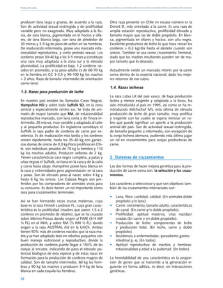 Producción ovina			                                Manuales FIA de APOYO A LA FORMACIÓN DE RECURSOS HUMANOS PARA LA INNOVACIÓN AGRARIA




producen lana larga y gruesa, de acuerdo a la raza.            Otra raza presente en Chile en escaso número es la
Son de actividad sexual restringida y de prolificidad          Dorset D, más orientada a la carne. Es una raza de
variable pero no exagerada. Muy adaptada a la llu-             amplia estación reproductiva, prolificidad elevada y
via, de cara blanca, pigmentada en el hocico y olla-           tamaño mayor que las de doble propósito. En blan-
res, de lana blanca larga, con lana de alrededor de            ca, pigmentada en ollares y hocico, con uña negra.
30 micras y 3-5 kg de peso de vellón en las hembras.           Excelente productora de leche lo que hace crecer los
De maduración intermedia, posee una marcada esta-              corderos > 0,3 kg/día hasta el destete cuando son
cionalidad reproductiva, y corto período sexual. Los           únicos. También se usa como cruzamiento Terminal,
corderos pesan 30-40 kg a los 3-5 meses y constituye           dado que las madres resultantes pueden ser de ma-
una raza muy adaptada a la zona sur y la elevada               yor tamaño que lo deseado.
pluviosidad. La prolificidad es baja, 1,2 corderos na-
cidos en promedio, y su peso adulto es de 60-70 kg             Actualmente existe un marcado interés por la carne
en la hembra en CC 3-3,5 y 90-100 kg los machos                ovina dentro de la ovejería nacional, dado los mejo-
> 2 años. Raza de tamaño intermedio de orientación             res retornos de ese rubro.
carne-lana)
                                                               1.4. Razas lecheras
1.3. Razas para producción de leche
                                                               La raza Latxa LX del país vasco, de baja producción
En nuestro país existen las llamadas Caras Negras,             láctea y menos exigente y adaptada a la lluvia, ha
Hampshire HD y sobre todo Suffolk SD, en la zona               sido introducida al país en 1995, así como se ha re-
central y especialmente centro sur. Se trata de ani-           introducido Milchschaf MS, esta última de elevada
males de mayor tamaño que RM, de estacionalidad                producción de leche de gran tamaño, muy prolífica
reproductiva marcada, con lana corta y de finura in-           y exigente con las cuales se espera reiniciar un ru-
termedia: 26 micras, muy variable y adaptada al calor          bro que puede significar un aporte a la producción
y al pequeño productor. En Inglaterra constituye el            animal del país. Son de actividad sexual restringida,
Suffolk la raza padre de corderos de carne por ex-             de tamaño pequeño a intermedio, con excepción de
celencia. Es de maduración más tardía y los corderos           la oveja lechera alemana, pudiendo esta última jugar
crecen rápidamente, hasta los 35-40 kg con ganan-              un rol en cruzamientos para ovejas productoras de
cias diarias de únicos de 0,3 kg Poco prolíficos en Chi-       carne.
le, son individuos pesados de 70 kg la hembra y 110
kg los machos adultos. Producen vellones de 2 kg.
Tienen características cara negra completa, y patas y          2. Sistemas de cruzamientos
uñas negras el Suffolk, sin lana en la cara y de la caña
y corva hacia abajo. Hampshire posee lana blanca en            Las dos formas de hacer mejora genética para la pro-
la cara y extremidades pero pigmentación en la cara            ducción de carne ovina son: la selección y los cruza-
y patas. Son de elevado peso al nacer, sobre 4 kg y            mientos.
hasta 6 kg los únicos. Los Cabeza Negra son pre-
feridos por los compradores de animales vivos para             Los caracteres a seleccionar y que son objetivos tam-
su consumo. Es decir tienen un rol importante como             bién de los cruzamientos interraciales son:
raza para cruzamientos terminales.
                                                               • 	 Lana, fibra: cantidad, calidad. (En animales doble
Así se han formando razas cruzas maternas, cuya                    propósito y/o lana).
base es la raza Finnish Landrace FL, cuya gran carac-          • 	 Carne: crecimiento, tamaño adulto, características
terística es la prolificidad (madres que paren 1,5 a 2             de canal. (En carne y/o doble propósito).
corderos en promedio de rebaño), que se ha cruzado             • 	 Prolificidad: aptitud materna, crías nacidas/
sobre Merino Precoz dando origen al FIME (3/4 MP                   criadas (En carne y en doble propósito).
¼ FL) en el INIA, y sobre RM (½ RM ½ FL) dando                 • 	 Producción de leche: componentes de leche
origen a la raza AUSTRAL AU en la UACh. Ambas                      y producción total. (En leche, carne y doble
tienen 50% más de corderos nacidos que la raza ma-                 propósito).
dre y se han adaptado bien en rebaños pequeños con             • 	 Resistencia a enfermedades: parasitismo gastro-
buen manejo nutricional y reproductivo, donde la                   intestinal p. ej. (En todos).
producción de corderos puede llegar a 150% de las              • 	 Aptitud reproductiva de machos y hembras:
ovejas al encaste, indicando de paso el elevado po-                estacionalidad y edad a la pubertad. (En todos).
tencial biológico de esta especie y de estas razas en
formación para la producción de corderos magros de             La heredabilidad de una característica es la propor-
calidad. Son de tamaño intermedio, 60 kg las hem-              ción de genes que se transmite a la generación si-
bras y 90 kg los machos y producen 3-4 kg de lana              guiente en forma aditiva, es decir, sin interacciones
blanca en cada esquila las hembras.                            genéticas.

32
 