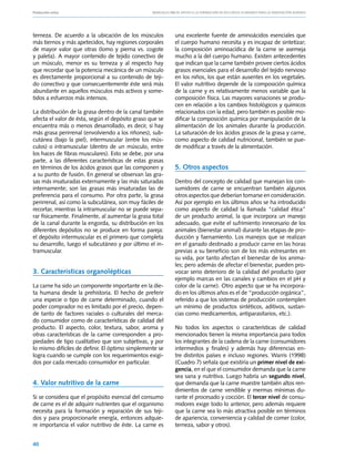 Producción ovina			                               Manuales FIA de APOYO A LA FORMACIÓN DE RECURSOS HUMANOS PARA LA INNOVACIÓN AGRARIA




terneza. De acuerdo a la ubicación de los músculos            una excelente fuente de aminoácidos esenciales que
más tiernos y más apetecidos, hay regiones corporales         el cuerpo humano necesita y es incapaz de sintetizar;
de mayor valor que otras (lomo y pierna vs. cogote            la composición aminoacídica de la carne se asemeja
y paleta). A mayor contenido de tejido conectivo de           mucho a la del cuerpo humano. Existen antecedentes
un músculo, menor es su terneza y al respecto hay             que indican que la carne también provee ciertos ácidos
que recordar que la potencia mecánica de un músculo           grasos esenciales para el desarrollo del tejido nervioso
es directamente proporcional a su contenido de teji-          en los niños, los que están ausentes en los vegetales.
do conectivo y que consecuentemente éste será más             El valor nutritivo depende de la composición química
abundante en aquellos músculos más activos y some-            de la carne y es relativamente menos variable que la
tidos a esfuerzos más intensos.                               composición física. Las mayores variaciones se produ-
                                                              cen en relación a los cambios histológicos y químicos
La distribución de la grasa dentro de la canal también        relacionados con la edad, pero también es posible mo-
afecta el valor de ésta, según el depósito graso que se       dificar la composición química por manipulación de la
encuentra más o menos desarrollado, es decir, si hay          alimentación de los animales durante la producción.
más grasa perirrenal (envolviendo a los riñones), sub-        La saturación de los ácidos grasos de la grasa y carne,
cutánea (bajo la piel), intermuscular (entre los mús-         como aspecto de calidad nutricional, también se pue-
culos) o intramuscular (dentro de un músculo, entre           de modificar a través de la alimentación.
los haces de fibras musculares). Esto se debe, por una
parte, a las diferentes características de estas grasas
en términos de los ácidos grasos que las componen y           5. Otros aspectos
a su punto de fusión. En general se observan las gra-
sas más insaturadas externamente y las más saturadas          Dentro del concepto de calidad que manejan los con-
internamente; son las grasas más insaturadas las de           sumidores de carne se encuentran también algunos
preferencia para el consumo. Por otra parte, la grasa         otros aspectos que deberían tomarse en consideración.
perirrenal, así como la subcutánea, son muy fáciles de        Así por ejemplo en los últimos años se ha introducido
recortar, mientras la intramuscular no se puede sepa-         como aspecto de calidad la llamada “calidad ética”
rar físicamente. Finalmente, al aumentar la grasa total       de un producto animal, la que incorpora un manejo
de la canal durante la engorda, su distribución en los        adecuado, que evite el sufrimiento innecesario de los
diferentes depósitos no se produce en forma pareja:           animales (bienestar animal) durante las etapas de pro-
el depósito intermuscular es el primero que completa          ducción y faenamiento. Los manejos que se realizan
su desarrollo, luego el subcutáneo y por último el in-        en el ganado destinado a producir carne en las horas
tramuscular.                                                  previas a su beneficio son de los más estresantes en
                                                              su vida, por tanto afectan el bienestar de los anima-
                                                              les; pero además de afectar el bienestar, pueden pro-
3. Características organolépticas                             vocar serio deterioro de la calidad del producto (por
                                                              ejemplo marcas en las canales y cambios en el pH y
La carne ha sido un componente importante en la die-          color de la carne). Otro aspecto que se ha incorpora-
ta humana desde la prehistoria. El hecho de preferir          do en los últimos años es el de “producción orgánica”,
una especie o tipo de carne determinado, cuando el            referido a que los sistemas de producción contemplen
poder comprador no es limitado por el precio, depen-          un mínimo de productos sintéticos, aditivos, sustan-
de tanto de factores raciales o culturales del merca-         cias como medicamentos, antiparasitarios, etc.).
do consumidor como de características de calidad del
producto. El aspecto, color, textura, sabor, aroma y          No todos los aspectos o características de calidad
otras características de la carne corresponden a pro-         mencionados tienen la misma importancia para todos
piedades de tipo cualitativo que son subjetivas, y por        los integrantes de la cadena de la carne (consumidores
lo mismo difíciles de definir. El óptimo simplemente se       intermedios y finales) y además hay diferencias en-
logra cuando se cumple con los requerimientos exigi-          tre distintos países e incluso regiones. Warris (1998)
dos por cada mercado consumidor en particular.                (Cuadro 7) señala que existiría un primer nivel de exi-
                                                              gencia, en el que el consumidor demanda que la carne
                                                              sea sana y nutritiva. Luego habría un segundo nivel,
4. Valor nutritivo de la carne                                que demanda que la carne muestre también altos ren-
                                                              dimientos de carne vendible y mermas mínimas du-
Si se considera que el propósito esencial del consumo         rante el procesado y cocción. El tercer nivel de consu-
de carne es el de adquirir nutrientes que el organismo        midores exige todo lo anterior, pero además requiere
necesita para la formación y reparación de sus teji-          que la carne sea lo más atractiva posible en términos
dos y para proporcionarle energía, entonces adquie-           de apariencia, conveniencia y calidad de comer (color,
re importancia el valor nutritivo de éste. La carne es        terneza, sabor y otros).


40
 