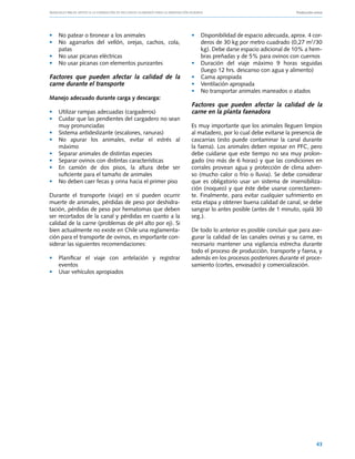 Manuales FIA de APOYO A LA FORMACIÓN DE RECURSOS HUMANOS PARA LA INNOVACIÓN AGRARIA			                     Producción ovina




• 	 No patear o tironear a los animales                         • 	 Disponibilidad de espacio adecuada, aprox. 4 cor-
• 	 No agarrarlos del vellón, orejas, cachos, cola,                 deros de 30 kg por metro cuadrado (0,27 m2/30
    patas                                                           kg). Debe darse espacio adicional de 10% a hem-
• 	 No usar picanas eléctricas                                      bras preñadas y de 5% para ovinos con cuernos
• 	 No usar picanas con elementos punzantes                     • 	 Duración del viaje máximo 9 horas seguidas
                                                                    (luego 12 hrs. descanso con agua y alimento)
Factores que pueden afectar la calidad de la                    • 	 Cama apropiada
carne durante el transporte                                     • 	 Ventilación apropiada
                                                                • 	 No transportar animales maneados o atados
Manejo adecuado durante carga y descarga:
                                                                Factores que pueden afectar la calidad de la
• 	 Utilizar rampas adecuadas (cargaderos)                      carne en la planta faenadora
• 	 Cuidar que las pendientes del cargadero no sean
    muy pronunciadas                                            Es muy importante que los animales lleguen limpios
• 	 Sistema antideslizante (escalones, ranuras)                 al matadero, por lo cual debe evitarse la presencia de
• 	 No apurar los animales, evitar el estrés al                 cascarrias (esto puede contaminar la canal durante
    máximo                                                      la faena). Los animales deben reposar en PFC, pero
• 	 Separar animales de distintas especies                      debe cuidarse que este tiempo no sea muy prolon-
• 	 Separar ovinos con distintas características                gado (no más de 6 horas) y que las condiciones en
• 	 En camión de dos pisos, la altura debe ser                  corrales provean agua y protección de clima adver-
    suficiente para el tamaño de animales                       so (mucho calor o frío o lluvia). Se debe considerar
• 	 No deben caer fecas y orina hacia el primer piso            que es obligatorio usar un sistema de insensibiliza-
                                                                ción (noqueo) y que éste debe usarse correctamen-
Durante el transporte (viaje) en sí pueden ocurrir              te. Finalmente, para evitar cualquier sufrimiento en
muerte de animales, pérdidas de peso por deshidra-              esta etapa y obtener buena calidad de canal, se debe
tación, pérdidas de peso por hematomas que deben                sangrar lo antes posible (antes de 1 minuto, ojalá 30
ser recortados de la canal y pérdidas en cuanto a la            seg.).
calidad de la carne (problemas de pH alto por ej). Si
bien actualmente no existe en Chile una reglamenta-             De todo lo anterior es posible concluir que para ase-
ción para el transporte de ovinos, es importante con-           gurar la calidad de las canales ovinas y su carne, es
siderar las siguientes recomendaciones:                         necesario mantener una vigilancia estrecha durante
                                                                todo el proceso de producción, transporte y faena, y
• 	 Planificar el viaje con antelación y registrar              además en los procesos posteriores durante el proce-
    eventos                                                     samiento (cortes, envasado) y comercialización.
• 	 Usar vehículos apropiados




                                                                                                                       43
 