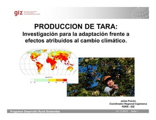 PRODUCCION DE TARA:
        Investigación para la adaptación frente a
         efectos atribuidos al cambio climático.




                                                  Jaime Puicón
                                         Coordinador Regional Cajamarca
                                                   PDRS - GIZ

Programa Desarrollo Rural Sostenible          01.11.2012   Seite 1
 