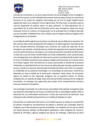 Marza Flores Romulo Antonio
Mgr. Ramiro Zapata
Producción II
Gestion: I-2021
animales de la boratorio y, en varios experimentos, los han protegido contra el patógeno.
De la misma manera, se han realizado exitosamente varias pruebas clínicas con voluntarios
humanos en las cuales los antígenos consumidos por vía oral en tejido vegetal fueron
capaces de inducir una respuesta inmune significativa. Por esta razón, se considera que las
vacunas preparadas en plantas tienen un gran potencial. La bioencapsulación de la
subunidad B de la toxina lábil de Escherichia coli en maíz transgénico indujo una fuerte
respuesta inmune en ratones, en comparación con la alcanzada con el antígeno desnudo
que fue más débil. Probablemente, esto se debió a que el antígeno estaba protegido contra
la degradación en el intestino.
La cantidad de tejido vegetal que constituya una dosis de vacuna debe de ser pequeña. Por
ello, alcanzar altos niveles de expresión del antígeno en el tejido vegetal es muy importante.
Se han utilizado diferentes estrategias para aumentar los niveles de expresión de los
transgenes, por ejemplo, utilizando diversas señales de regulación de la expresión genética
así como optimizando el uso de codones. Los niveles de expresión se podrían también elevar
a través de cruzas de líneas transformadas con líneas establecidas y bien caracterizadas,
una estrategia que se ha aplicado con éxito para aumentar la producción de proteína total
en maíz. Es también importante que cualquier antígeno esté presente en su forma nativa
en el tejido vegetal. Esto normalmente se evalúa examinando el tamaño de la proteína
sintetizada, su capacidad de formar las estructuras adecuadas (por ejemplo, partículas tipo
virus) y, cuando sea relevante, demostrando actividad enzimática o de unión a un receptor.
La estabilidad de las proteínas heterólogas y el ensamblaje de estructuras multiméricas
dependen en buena medida de la localización subcelular. Hasta ahora, los principales
lugares en donde se han expresado antígenos son la superficie celular, el retículo
endoplásmico y el aparato de Golgi. Estos sitios han permitido la producción de antígenos
funcionales, sin embargo, hay sugerencias para probar otros compartimientos celulares
como por ejemplo el cloroplasto.
Una estrategia relacionada con la de vacunas comestibles utiliza plantas transgénicas para
que expresan autoantígenos, por lo que una dosis oral de un autoantígeno puede inhibir el
desarrollo de una enfermedad autoinmune a través del mecanismo de tolerancia. Este
enfoque ha sido utilizado exitosamente en un modelo de diabetes en ratón.
Actualmente en el laboratorio del autor, en la Unidad Irapuato, se trabaja en la producción
de plantas transgénicas principalmente de plátano y jitomate que contengan diversos
antígenos con la idea de generar vacunas comestibles. Los antígenos con los que se trabaja
van desde diversos epítopos de Plasmodium falciparum, hasta antígenos de rotavirus,
hepatitis B, HIV-SIDA y algunos antígenos de cáncer. Sin embargo, a diferencia de otros
 