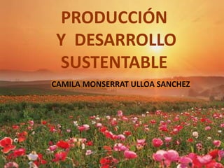 PRODUCCIÓN
Y DESARROLLO
SUSTENTABLE
CAMILA MONSERRAT ULLOA SANCHEZ
 