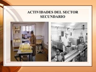 ACTIVIDADES DEL SECTOR SECUNDARIO 