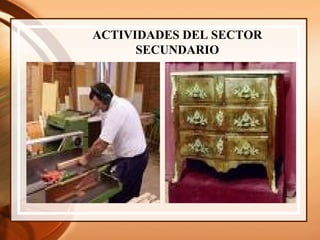 ACTIVIDADES DEL SECTOR SECUNDARIO 