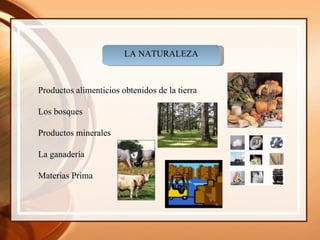 LA NATURALEZA Productos alimenticios obtenidos de la tierra Los bosques Productos minerales La ganadería Materias Prima 