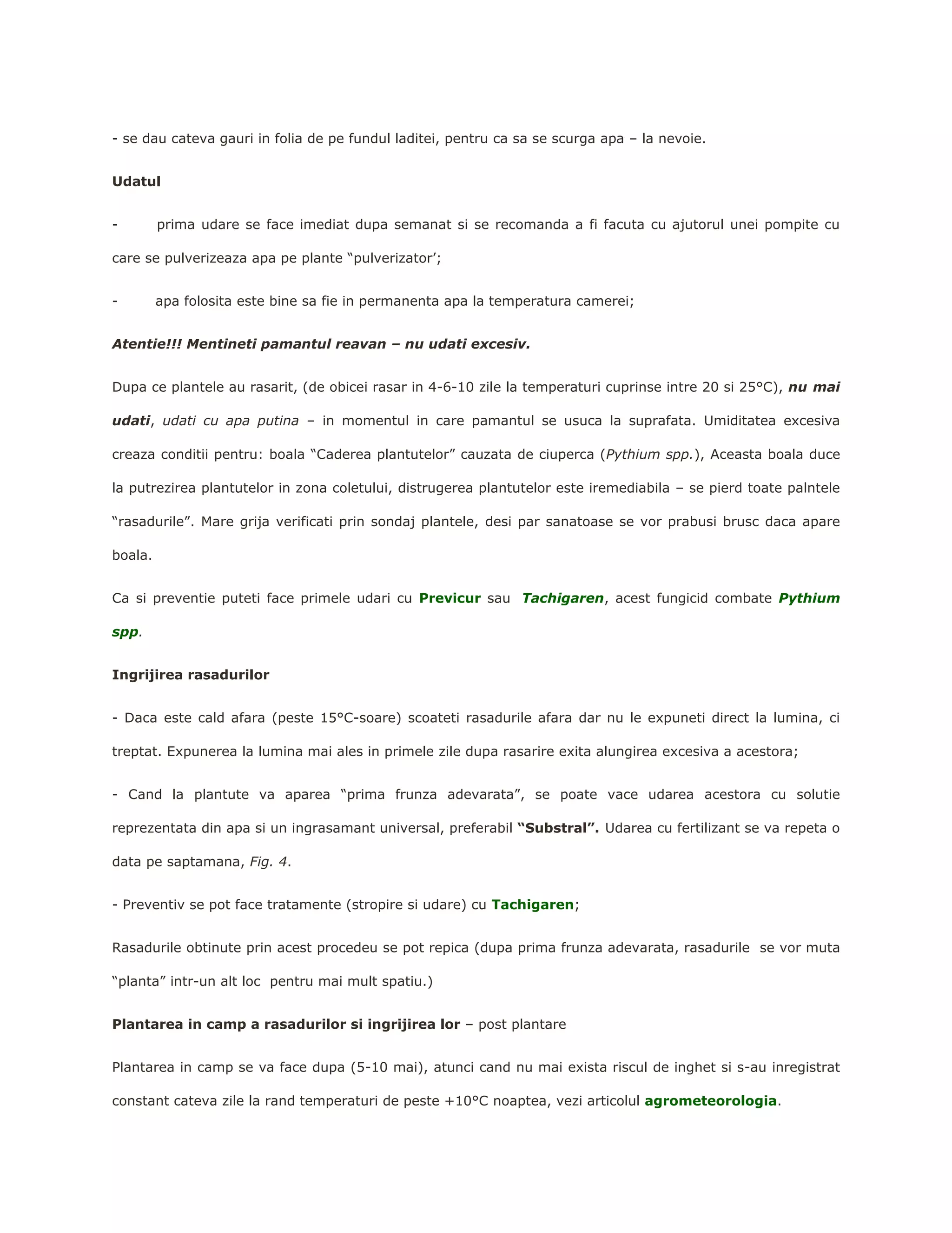 Producerea de rasaduri | DOCX