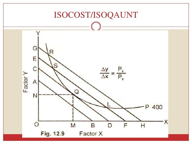 Producer equilibrium