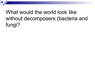 What would the world look like without decomposers (bacteria and fungi? 