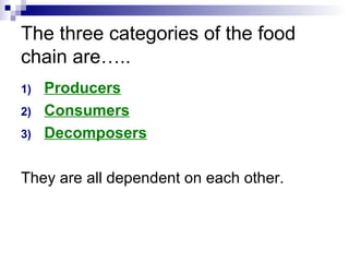 The three categories of the food chain are….. Producers Consumers Decomposers They are all dependent on each other.  