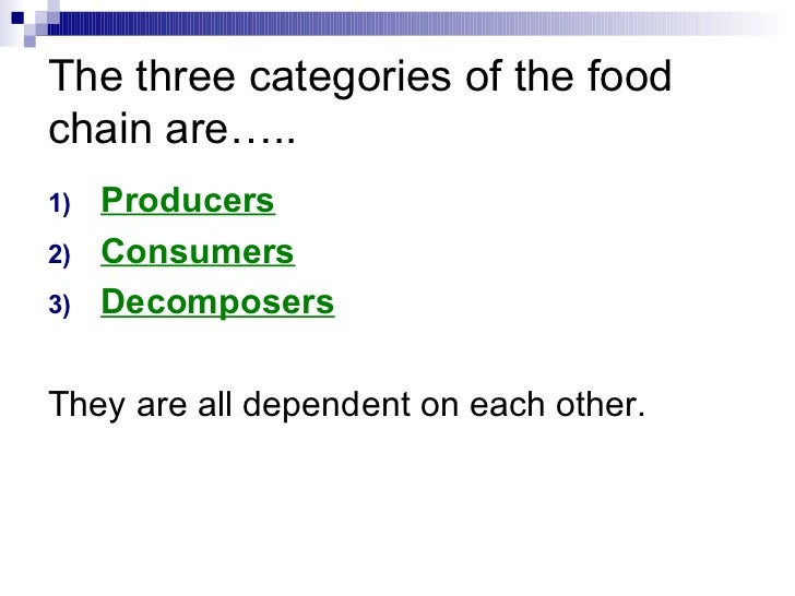 producers consumers and decomposers producer and consumer venn diagram