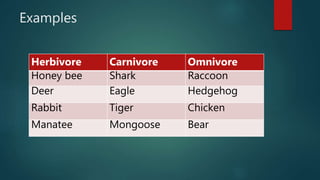 Producers consumersanddecomposers | PPT | Free Download