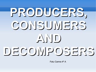 PRODUCERS,
 CONSUMERS
    AND
DECOMPOSERS
     Fatu Camra 4º A
 