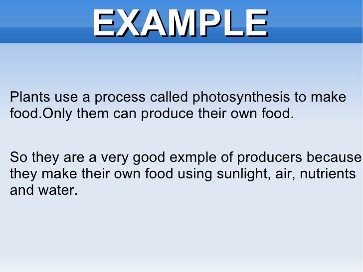 What Is An Organism That Makes Their Own Food Called What Is An Organism That Makes Their Own Food Called