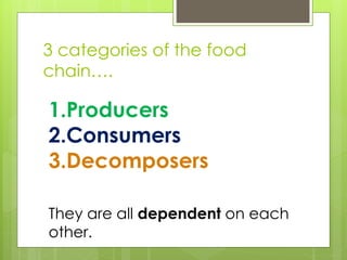 3 categories of the food 
chain…. 
1.Producers 
2.Consumers 
3.Decomposers 
They are all dependent on each 
other. 
 