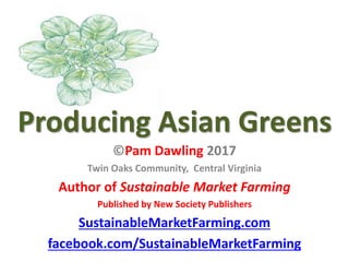 Producing Asian Greens
©Pam Dawling 2017
Twin Oaks Community, Central Virginia
Author of Sustainable Market Farming
Published by New Society Publishers
SustainableMarketFarming.com
facebook.com/SustainableMarketFarming
 