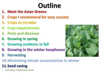 Outline
1. Meet the Asian Greens
2. Crops I recommend for easy success
3. Crops to try later
4. Crop requirements
5. Pests and diseases
6. Growing in spring
7. Growing outdoors in fall
8. Growing in the winter hoophouse
9. Harvesting
10.Minimizing nitrate accumulation in winter
11.Seed saving
• Pak Choy. Credit Ethan Hirsh
 